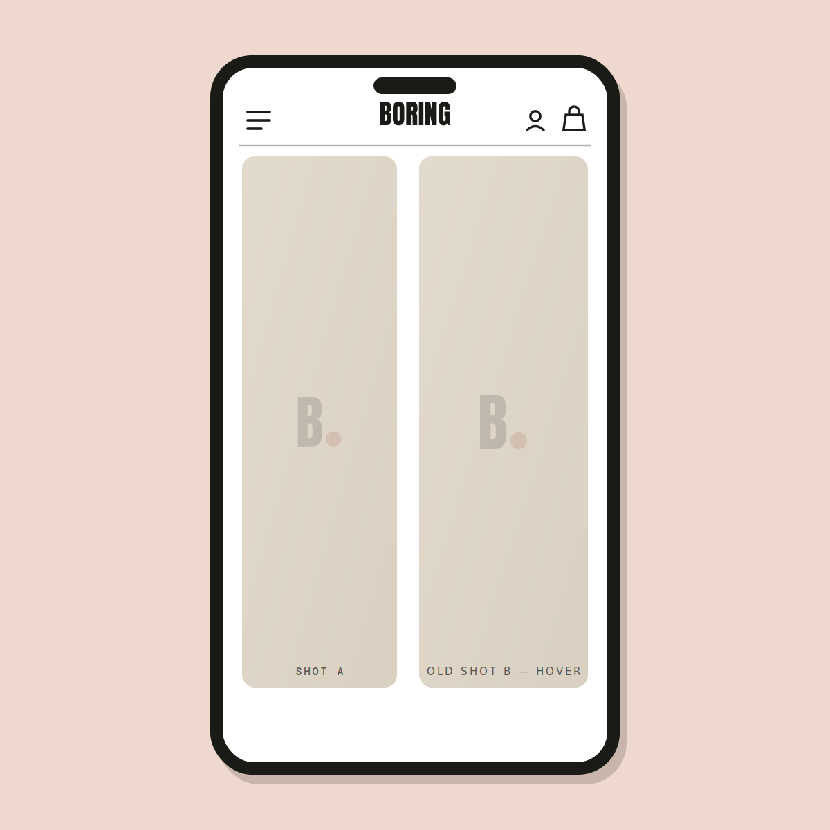 Hover second image — Shopify Task