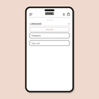 Language toggle — Shopify Task
