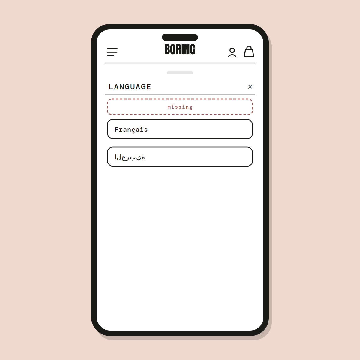 Language toggle — Shopify Task