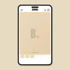 Zoom behaviour fix — Shopify Task